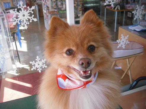 ファイル 2798-1.jpg