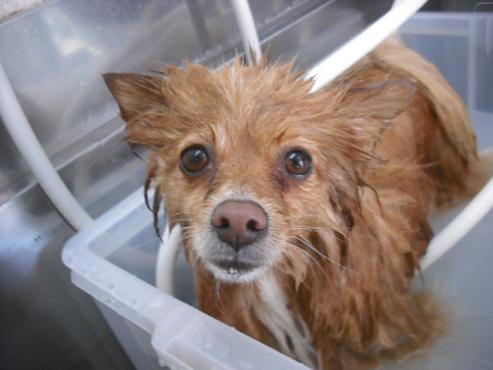 ファイル 2798-2.jpg