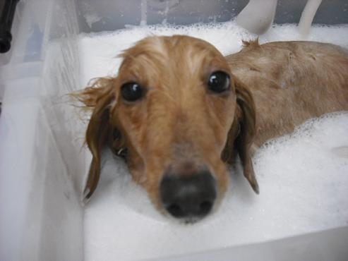 ファイル 28-2.jpg