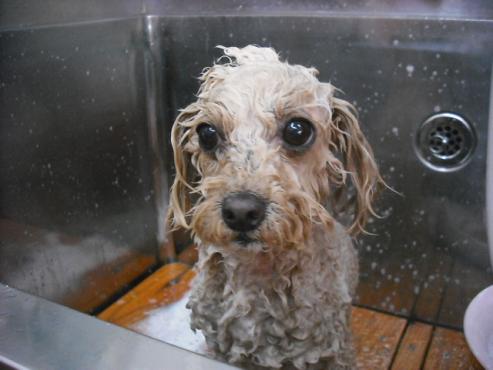 ファイル 280-2.jpg