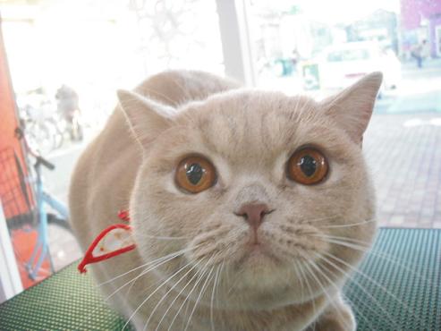 ファイル 2800-1.jpg