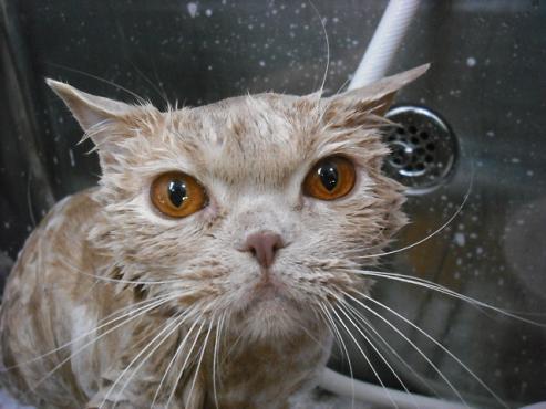 ファイル 2800-2.jpg