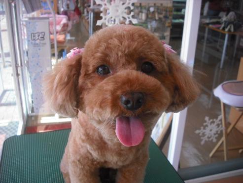 ファイル 2801-1.jpg