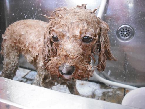 ファイル 2801-2.jpg