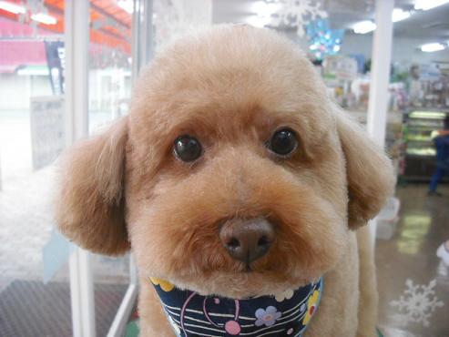 ファイル 2802-1.jpg