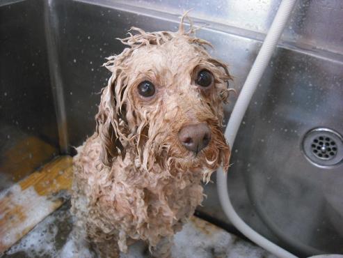 ファイル 2802-2.jpg