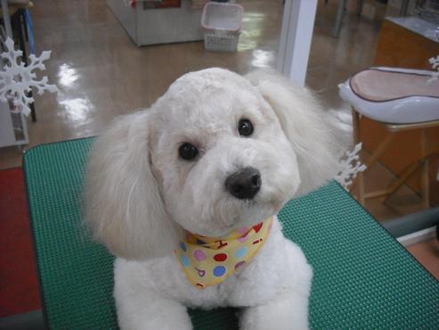 ファイル 2803-1.jpg