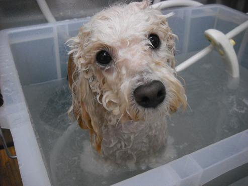 ファイル 2803-2.jpg