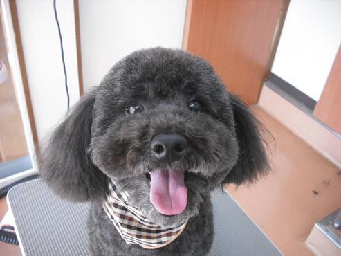 ファイル 2804-1.jpg