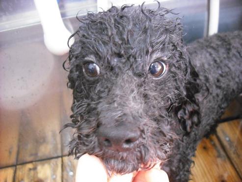 ファイル 2804-2.jpg