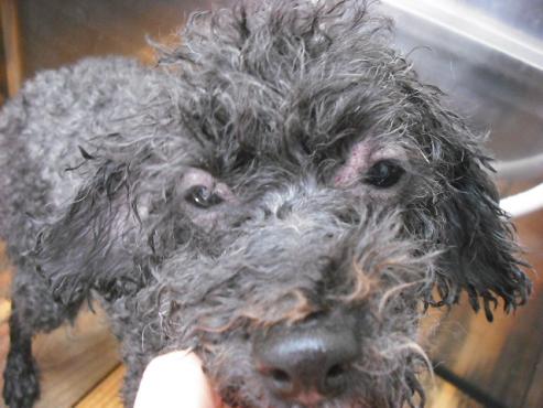 ファイル 2805-1.jpg