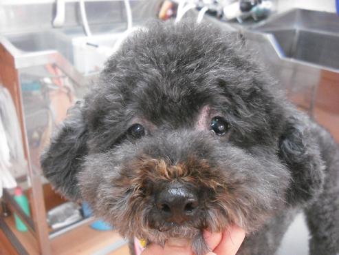 ファイル 2805-2.jpg