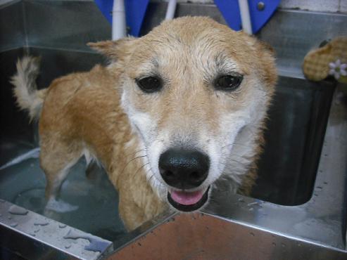 ファイル 2806-2.jpg