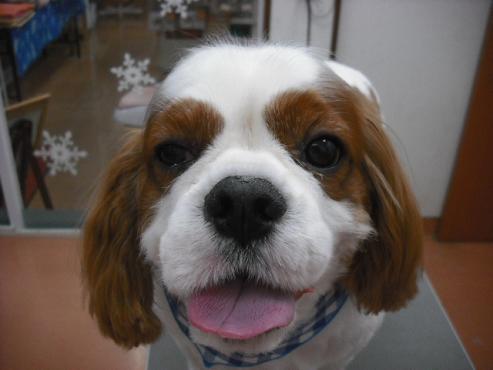 ファイル 2807-1.jpg