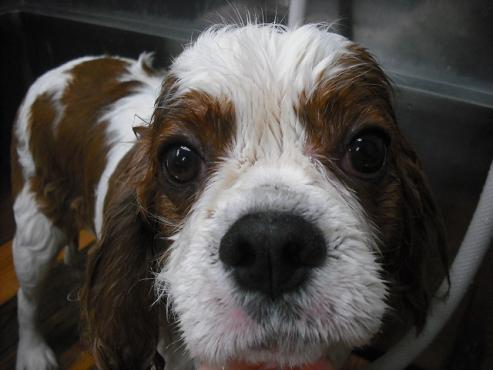 ファイル 2807-2.jpg