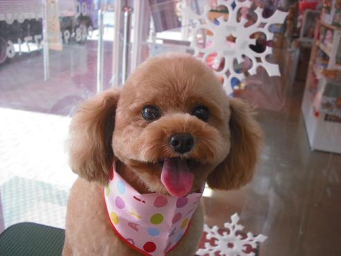 ファイル 2808-1.jpg