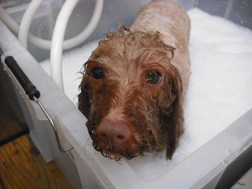 ファイル 2809-2.jpg