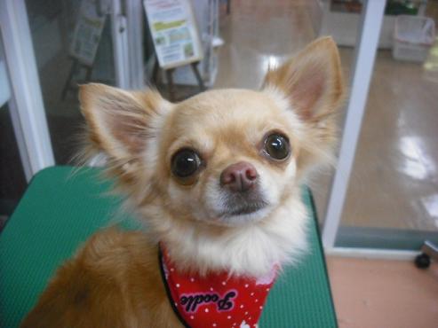 ファイル 281-1.jpg