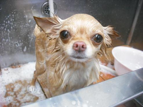 ファイル 281-3.jpg