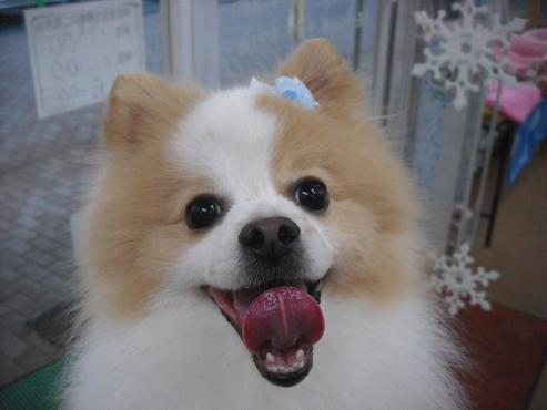 ファイル 2810-1.jpg