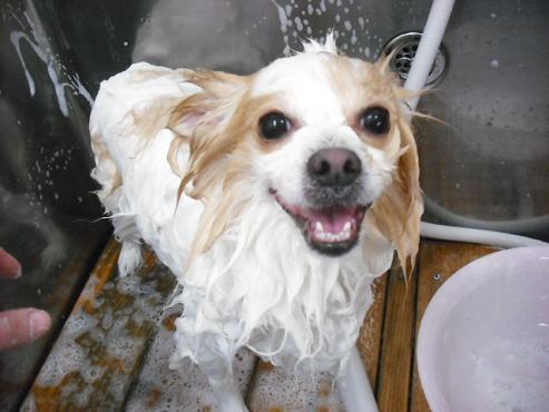 ファイル 2810-2.jpg