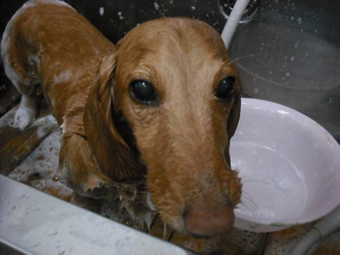 ファイル 2811-2.jpg