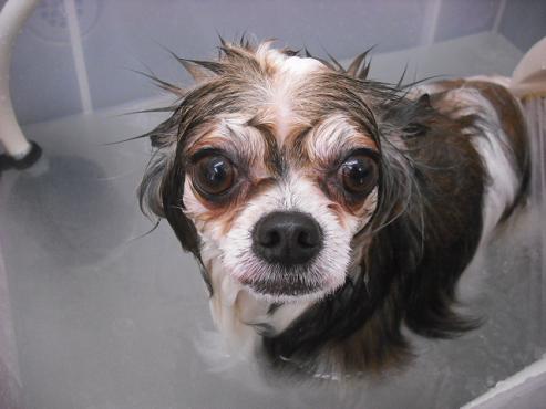 ファイル 2812-2.jpg