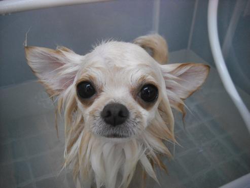 ファイル 2813-2.jpg