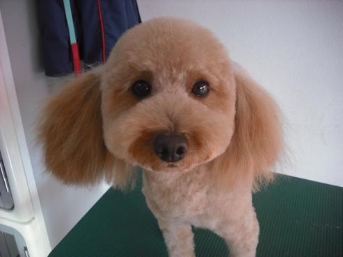 ファイル 2814-1.jpg