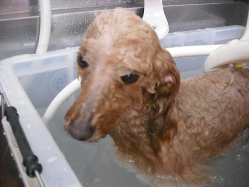 ファイル 2814-2.jpg