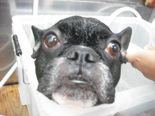 ファイル 2816-2.jpg