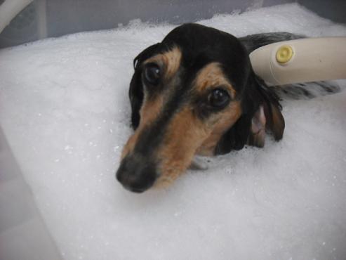 ファイル 2819-2.jpg