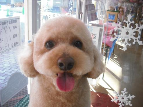 ファイル 2820-1.jpg