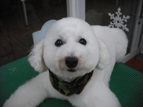 ファイル 2821-1.jpg