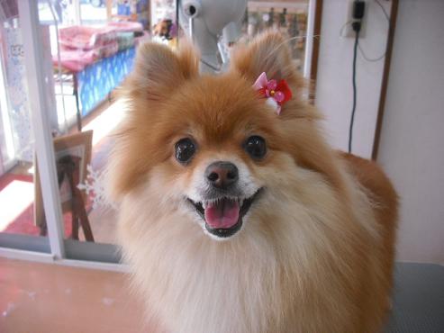 ファイル 2822-1.jpg