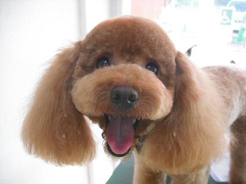 ファイル 2823-1.jpg