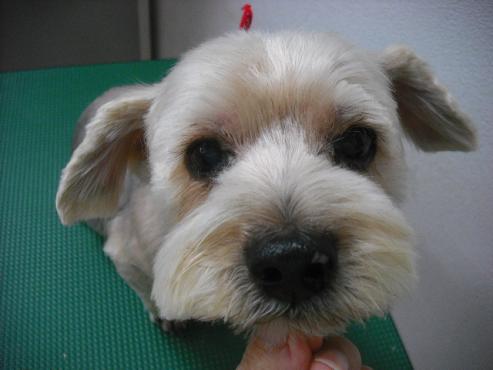 ファイル 2826-1.jpg