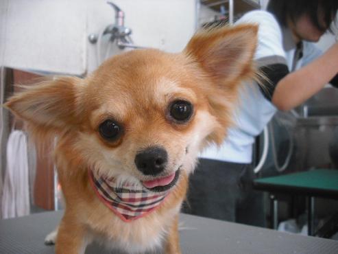 ファイル 2828-1.jpg