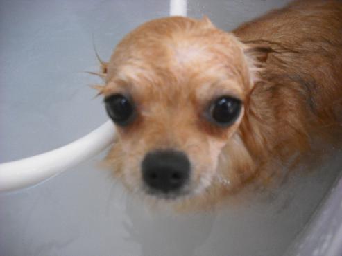 ファイル 2828-2.jpg