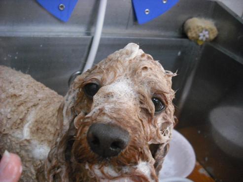 ファイル 283-3.jpg