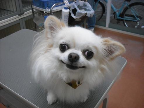 ファイル 2831-1.jpg