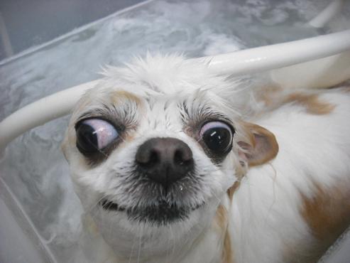 ファイル 2831-2.jpg