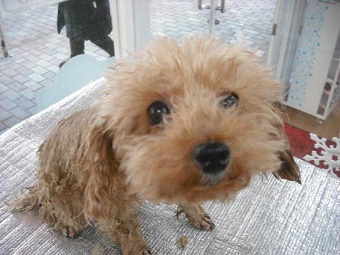 ファイル 2832-1.jpg