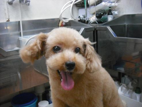 ファイル 2832-2.jpg