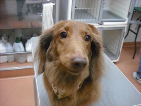 ファイル 2833-1.jpg