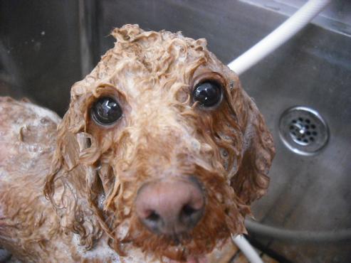 ファイル 2834-2.jpg