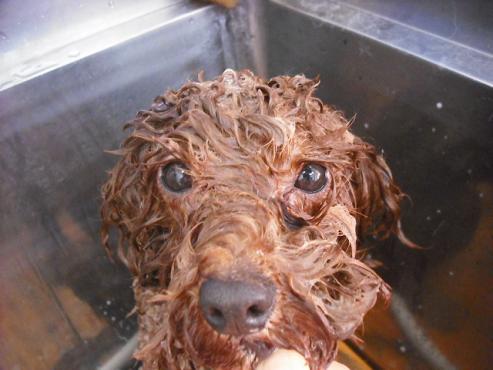 ファイル 2835-2.jpg