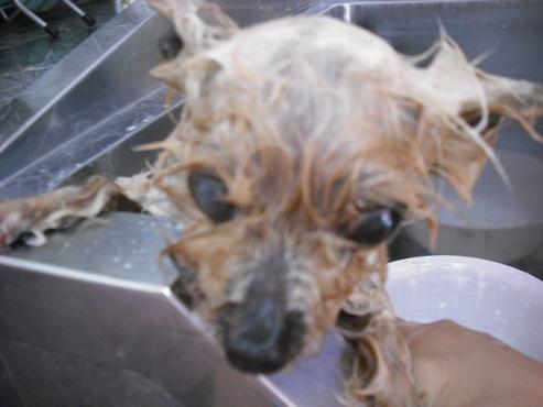 ファイル 2836-2.jpg