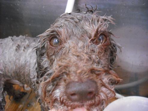 ファイル 2837-2.jpg