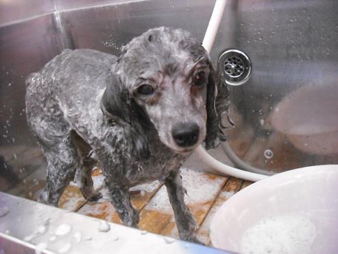 ファイル 2838-2.jpg